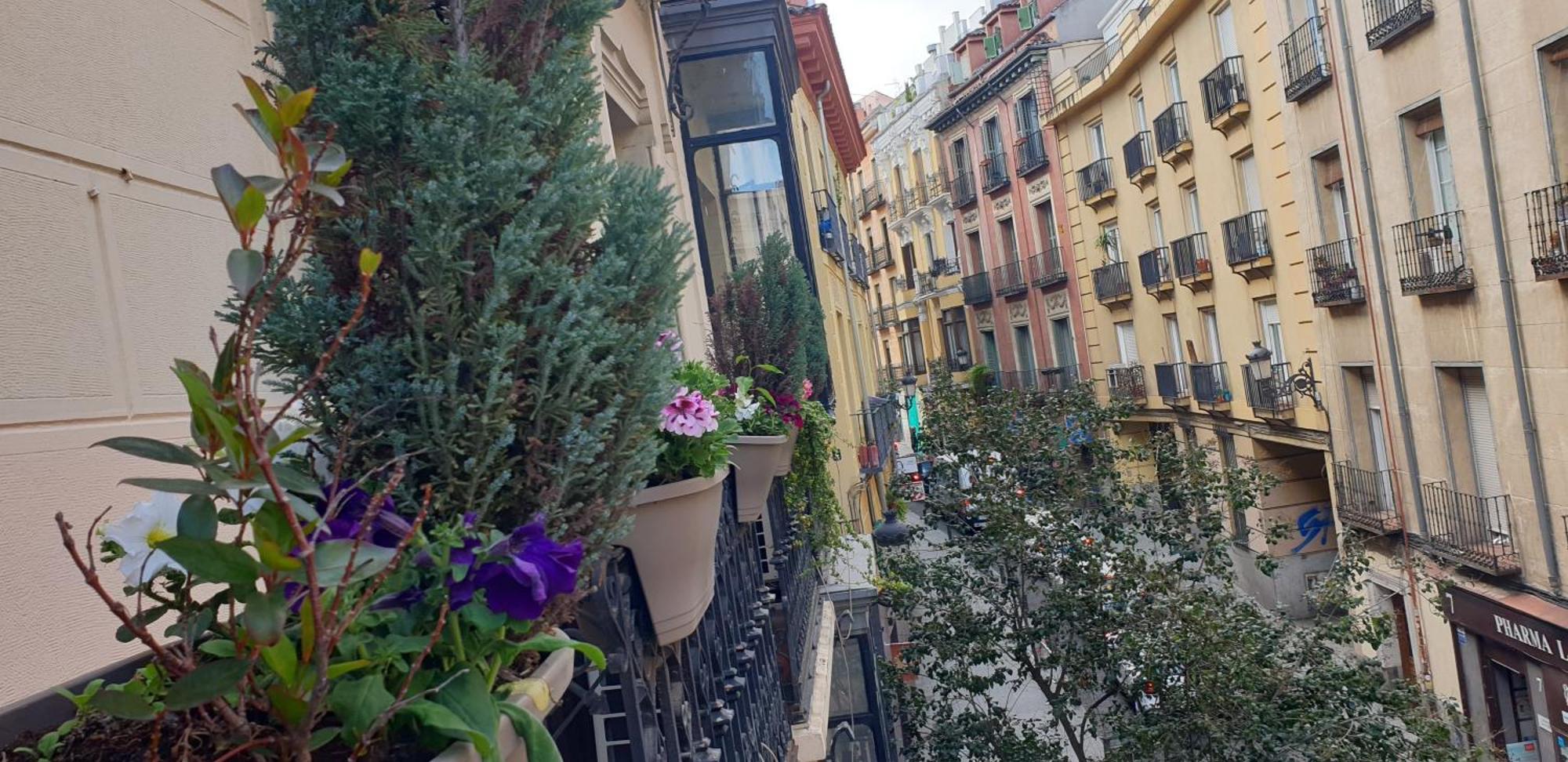Hostal Las Fuentes (Adults Only) Madrid Buitenkant foto